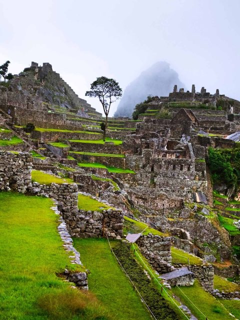 Machu Picchu Tour by Train 2 Days